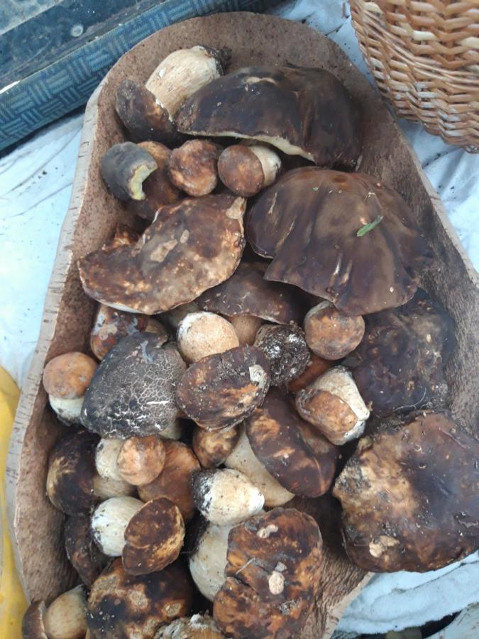 Fumu Ludurru Farm Stay Padru 外观 照片