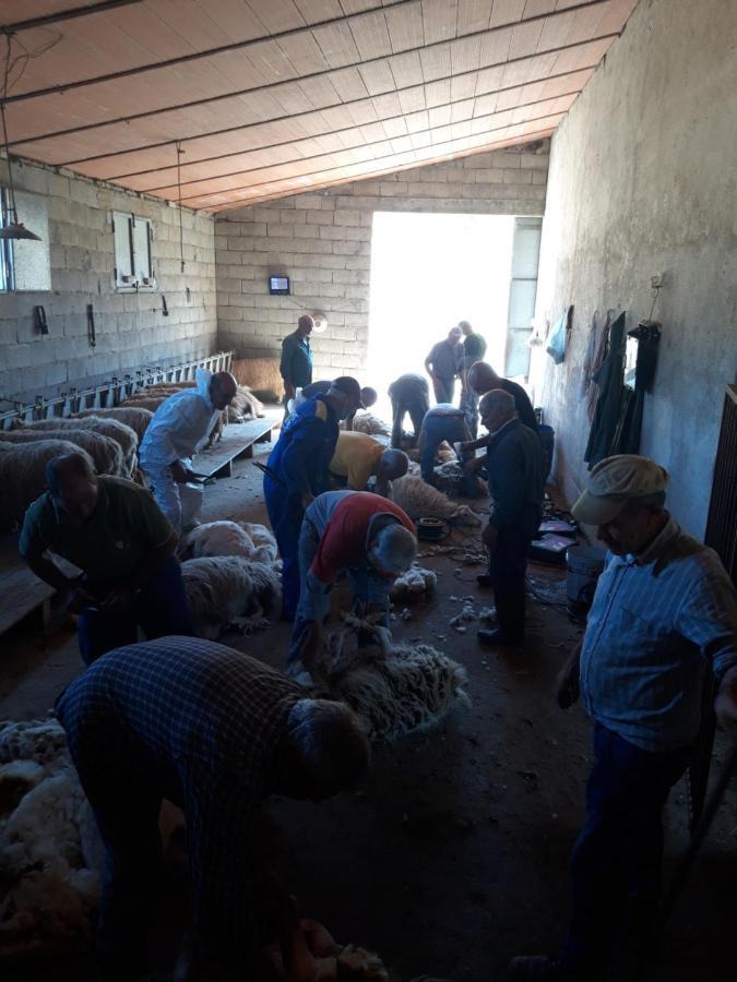 Fumu Ludurru Farm Stay Padru 外观 照片