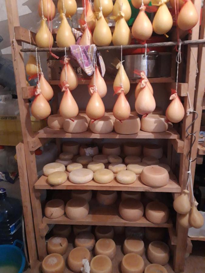 Fumu Ludurru Farm Stay Padru 外观 照片